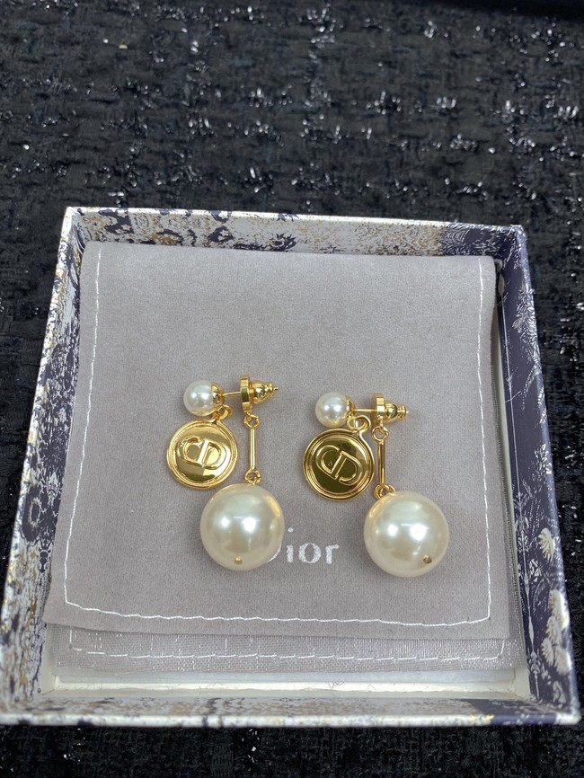 Dior Earrings CE10095