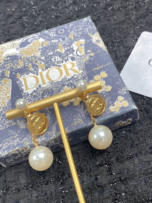 Dior Earrings CE10095