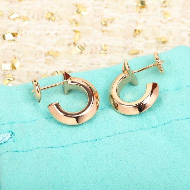 TIFFANY Earrings CE10101