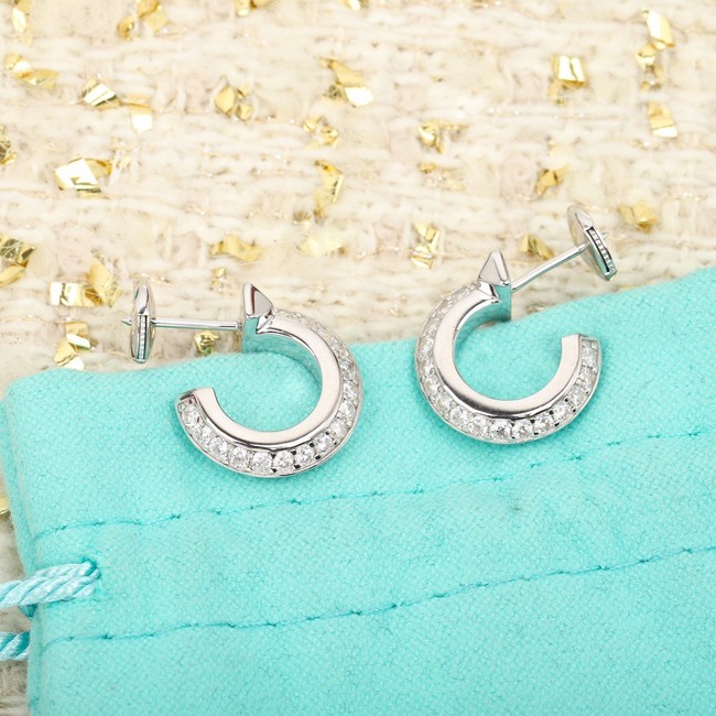 TIFFANY Earrings CE10101