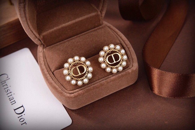 Dior Earrings CE10147