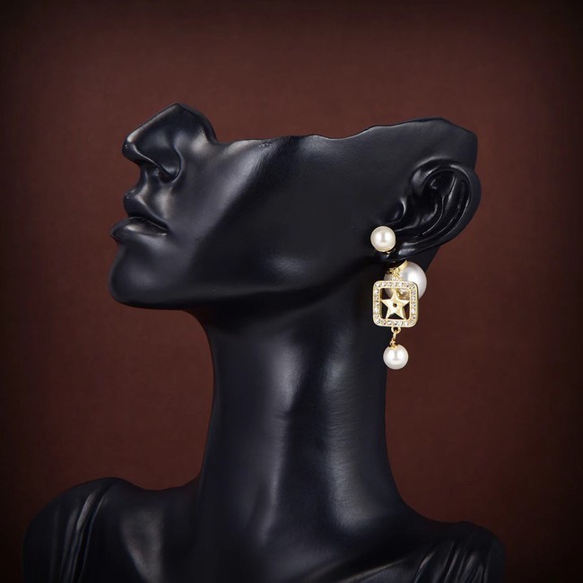 Dior Earrings CE10150