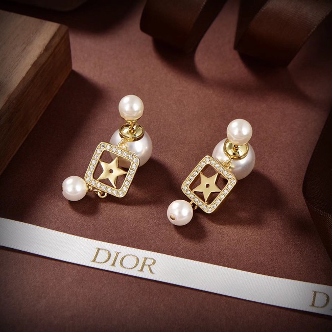 Dior Earrings CE10150