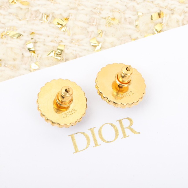 Dior Earrings CE10177