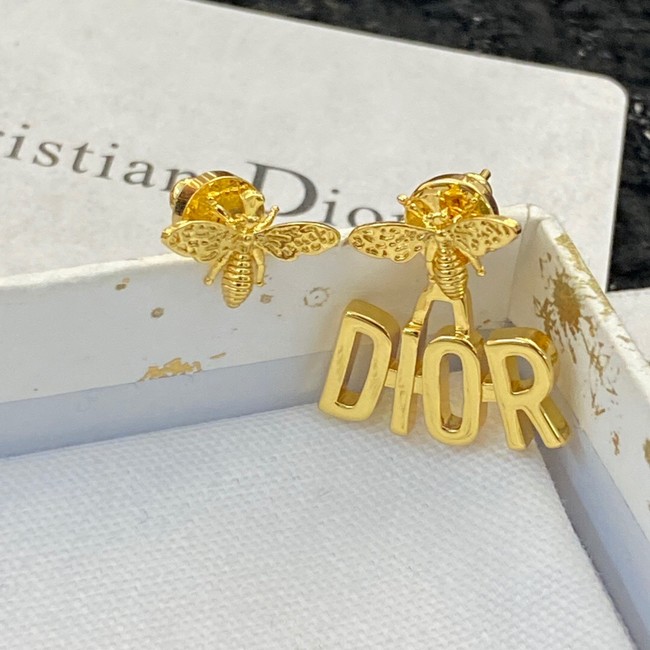 Dior Earrings CE10204