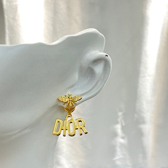 Dior Earrings CE10204