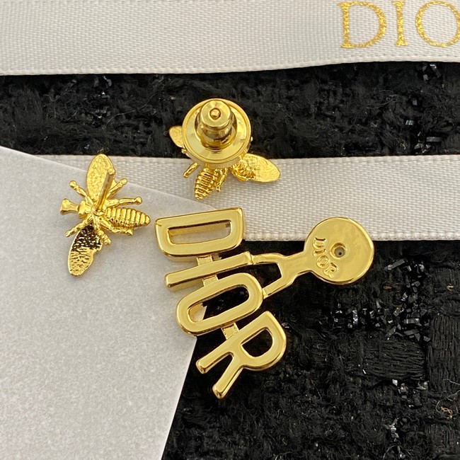 Dior Earrings CE10204