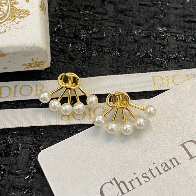 Dior Earrings CE10205