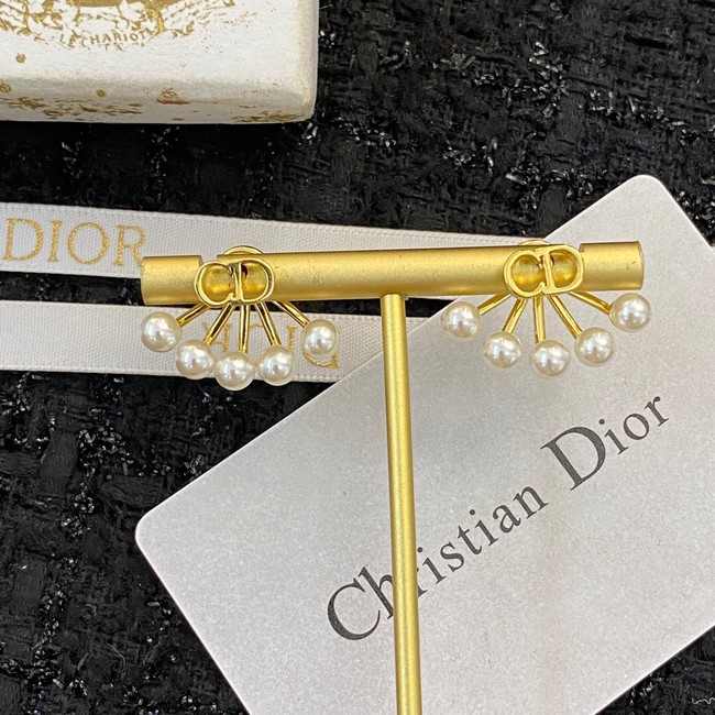 Dior Earrings CE10205