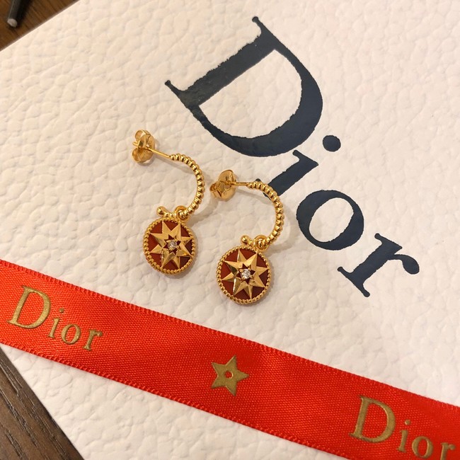 Dior Earrings CE10248