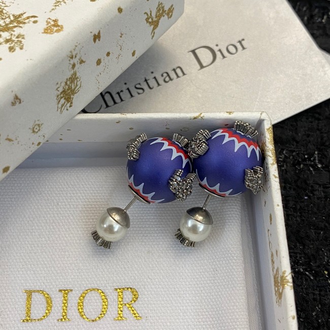 Dior Earrings CE10259