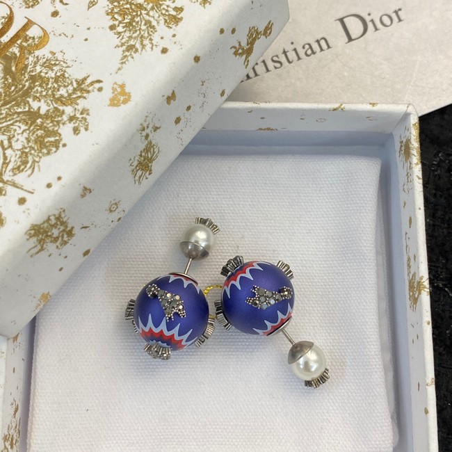 Dior Earrings CE10259