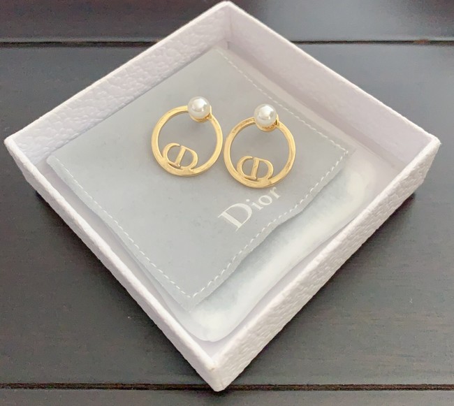 Dior Earrings CE10347