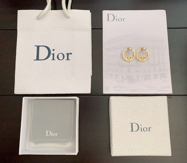 Dior Earrings CE10347