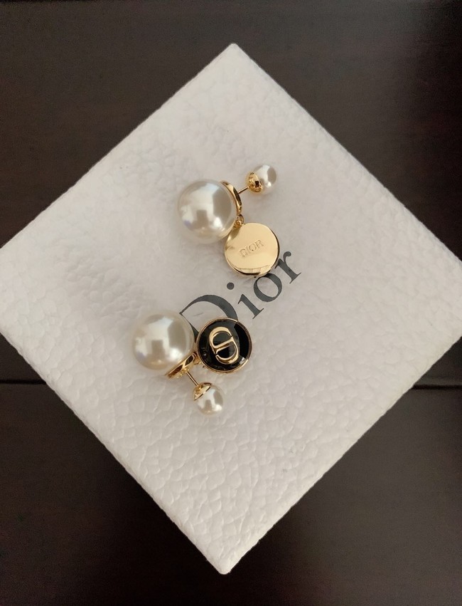 Dior Earrings CE10350