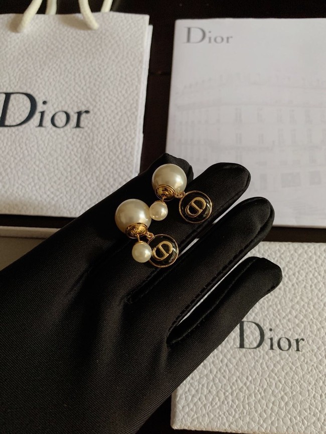 Dior Earrings CE10350