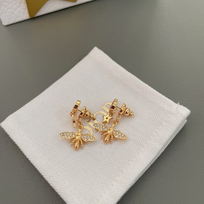 Dior Earrings CE10370