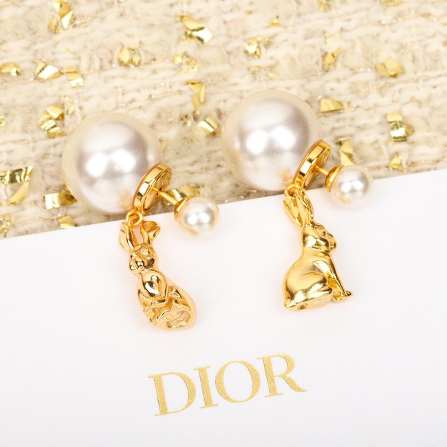 Dior Earrings CE10428