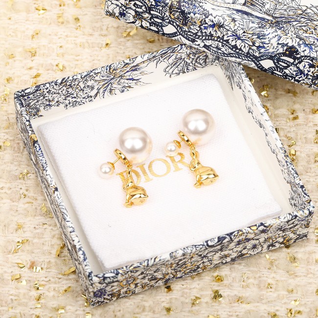 Dior Earrings CE10428