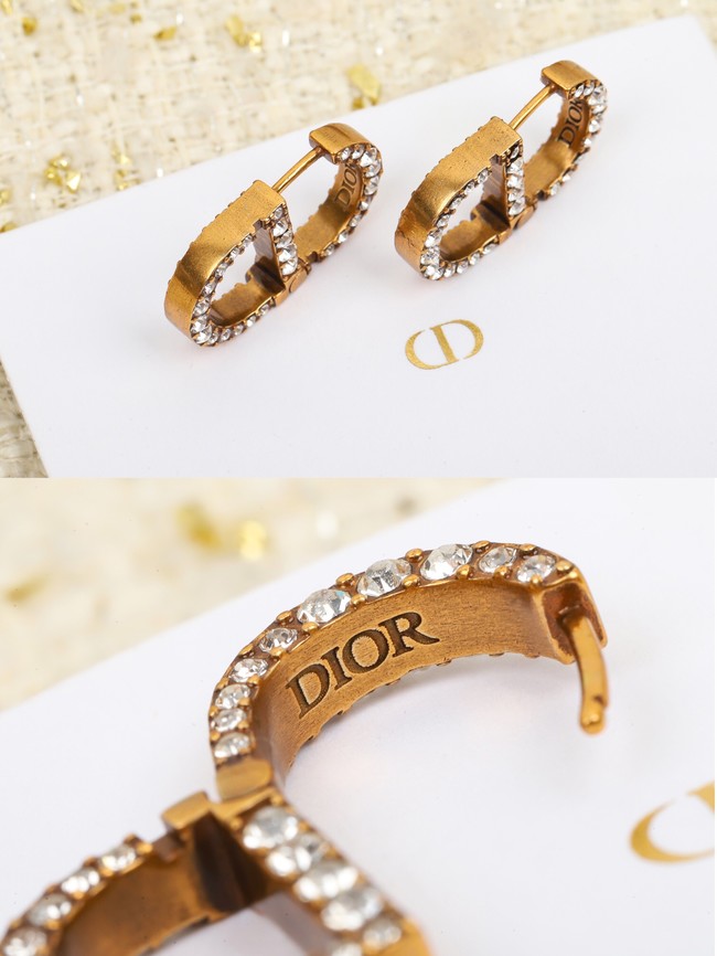 Dior Earrings CE10431