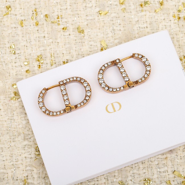 Dior Earrings CE10431