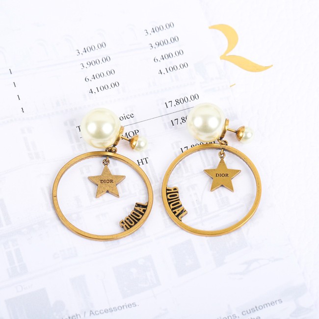 Dior Earrings CE10432