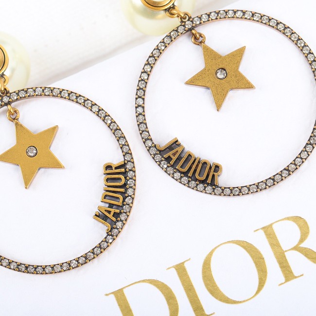 Dior Earrings CE10432