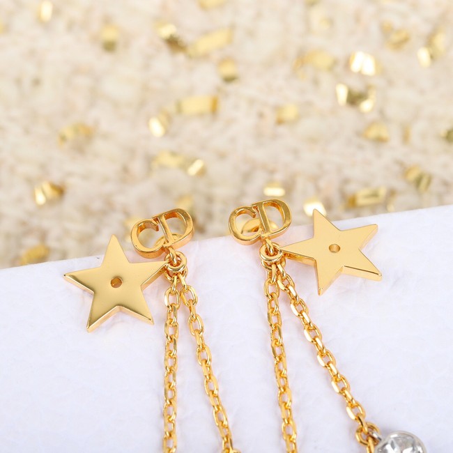 Dior Earrings CE10433