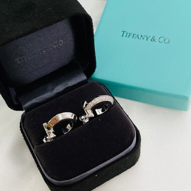 TIFFANY Earrings CE10502