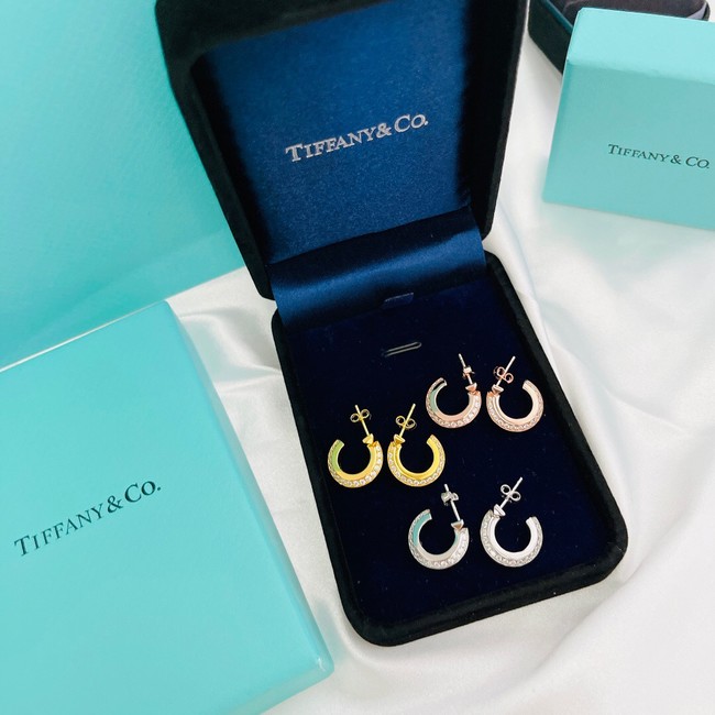 TIFFANY Earrings CE10502