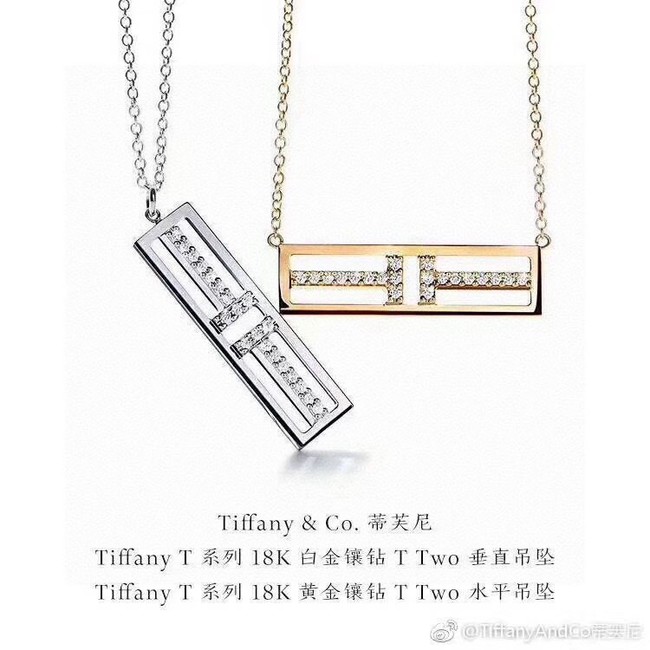 TIFFANY Necklace CE10495