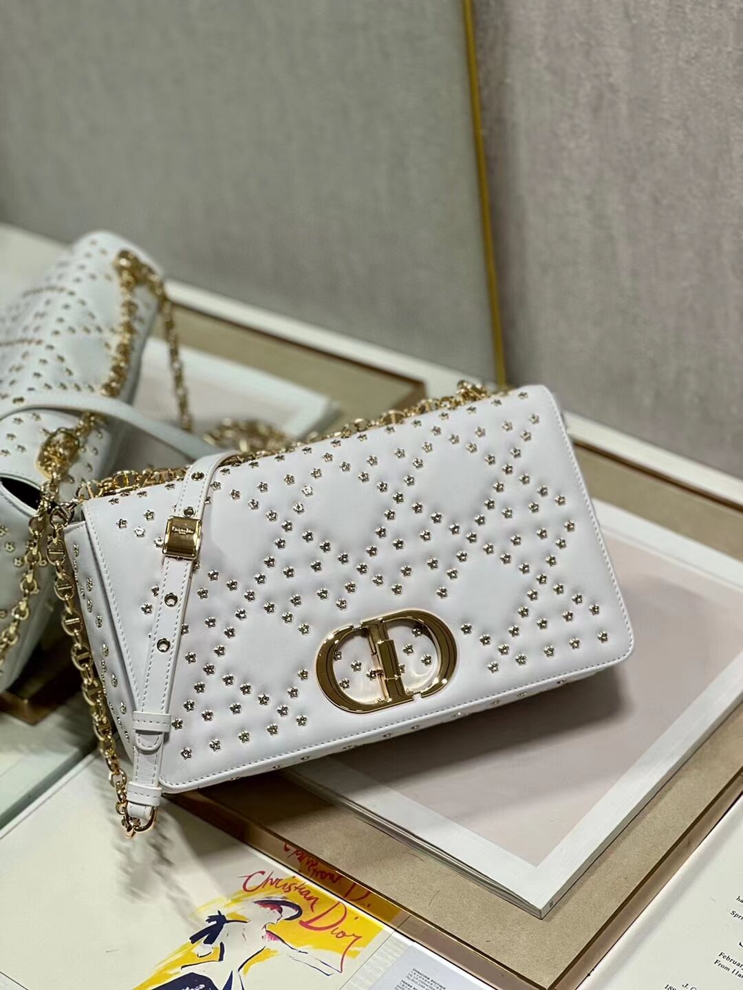 DIOR CARO MACROCANNAGE POUCH Macrocannage Calfskin with Star Motif C3136 white&gold