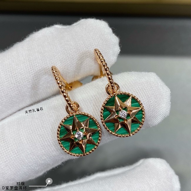 Dior Earrings CE10629