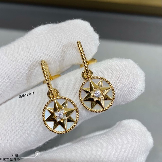 Dior Earrings CE10629