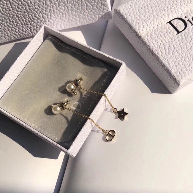 Dior Earrings CE10640