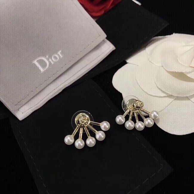 Dior Earrings CE10651