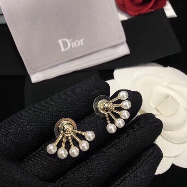 Dior Earrings CE10651