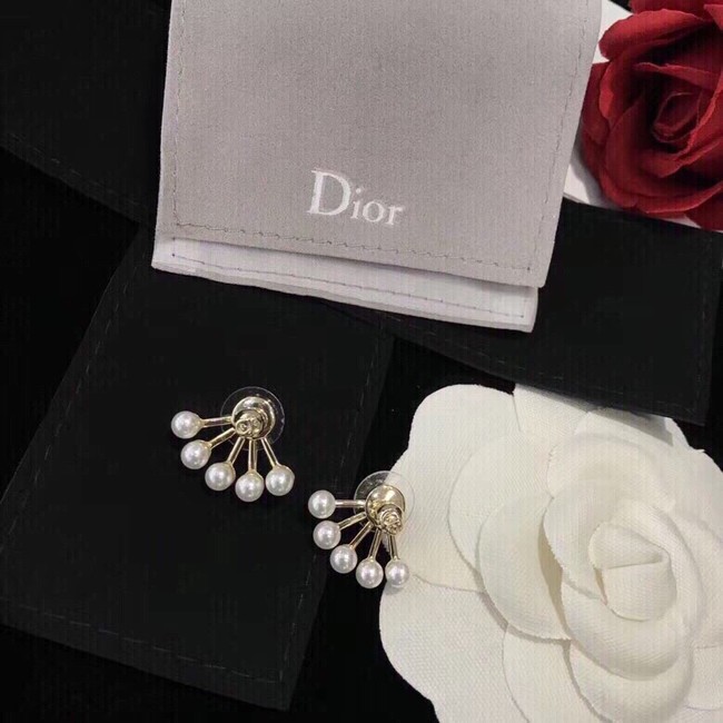 Dior Earrings CE10651