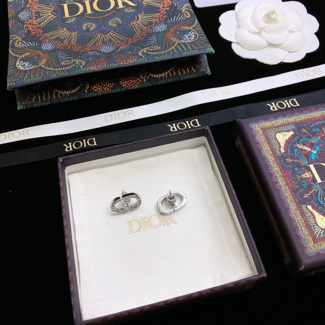 Dior Earrings CE10655