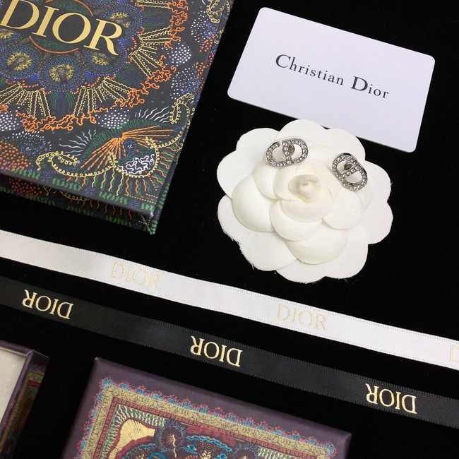 Dior Earrings CE10655