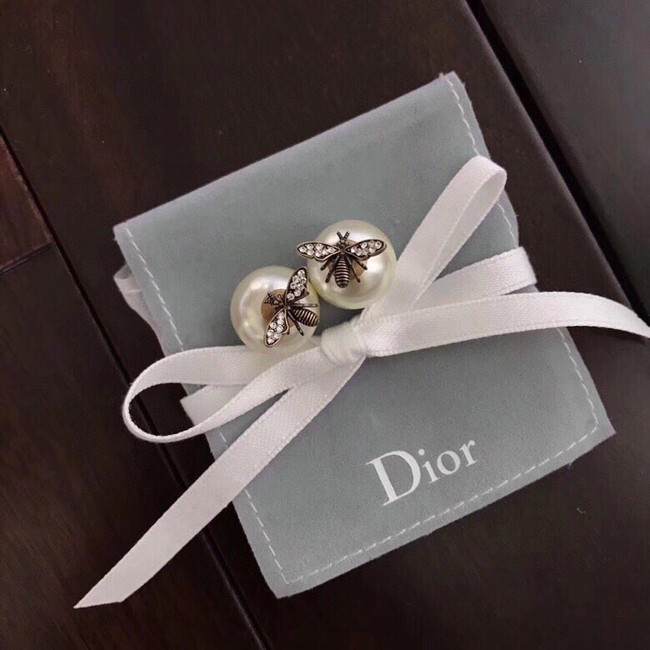 Dior Earrings CE10657