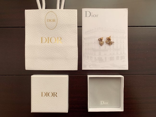 Dior Earrings CE10714