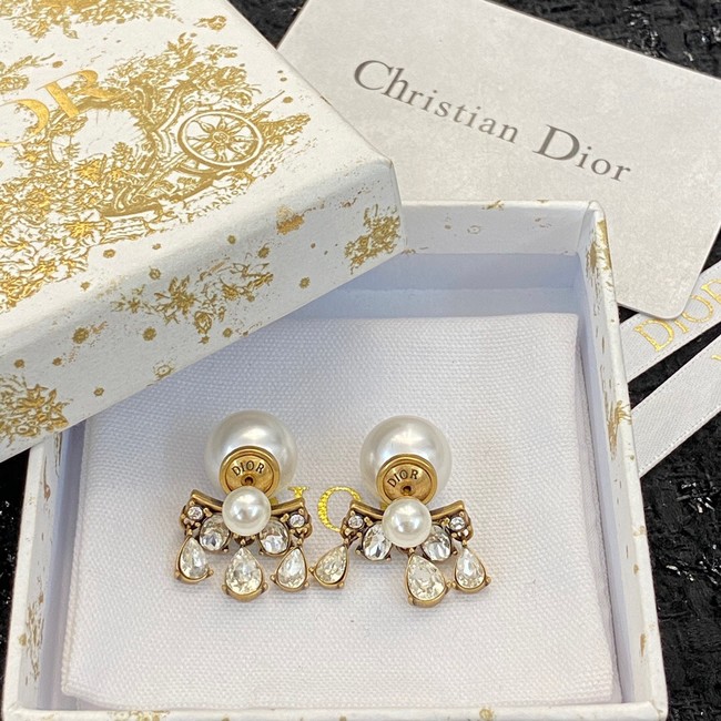 Dior Earrings CE10723