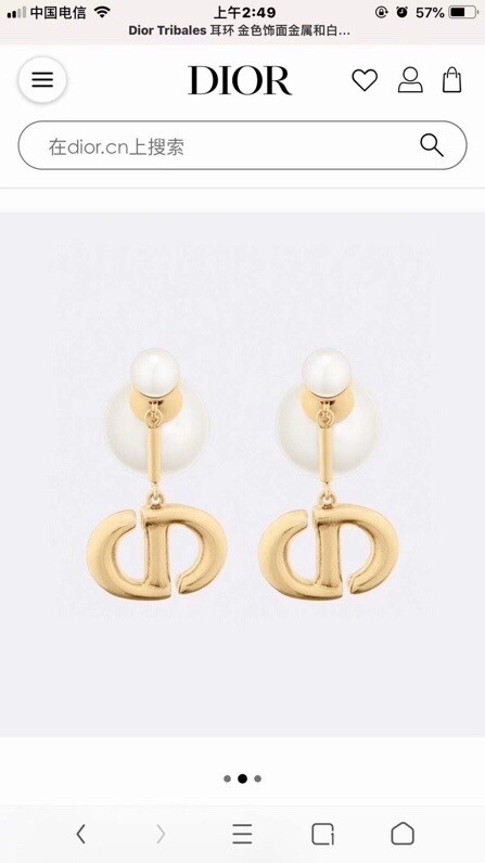 Dior Earrings CE10741