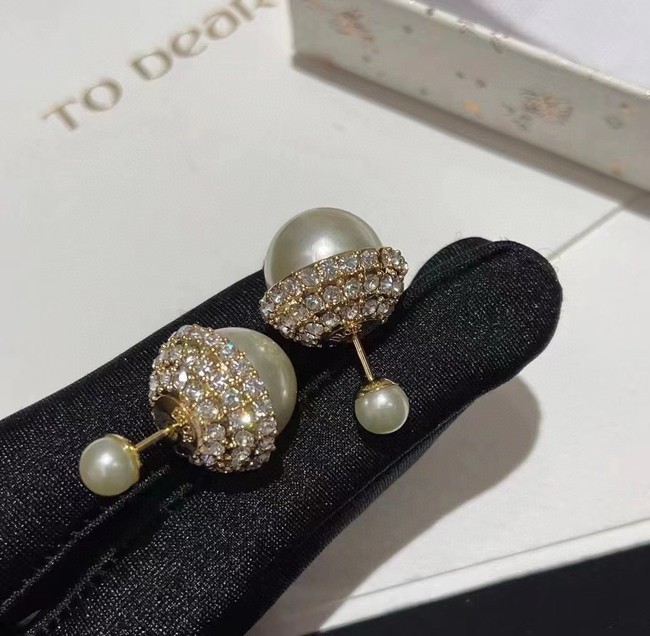 Dior Earrings CE10772