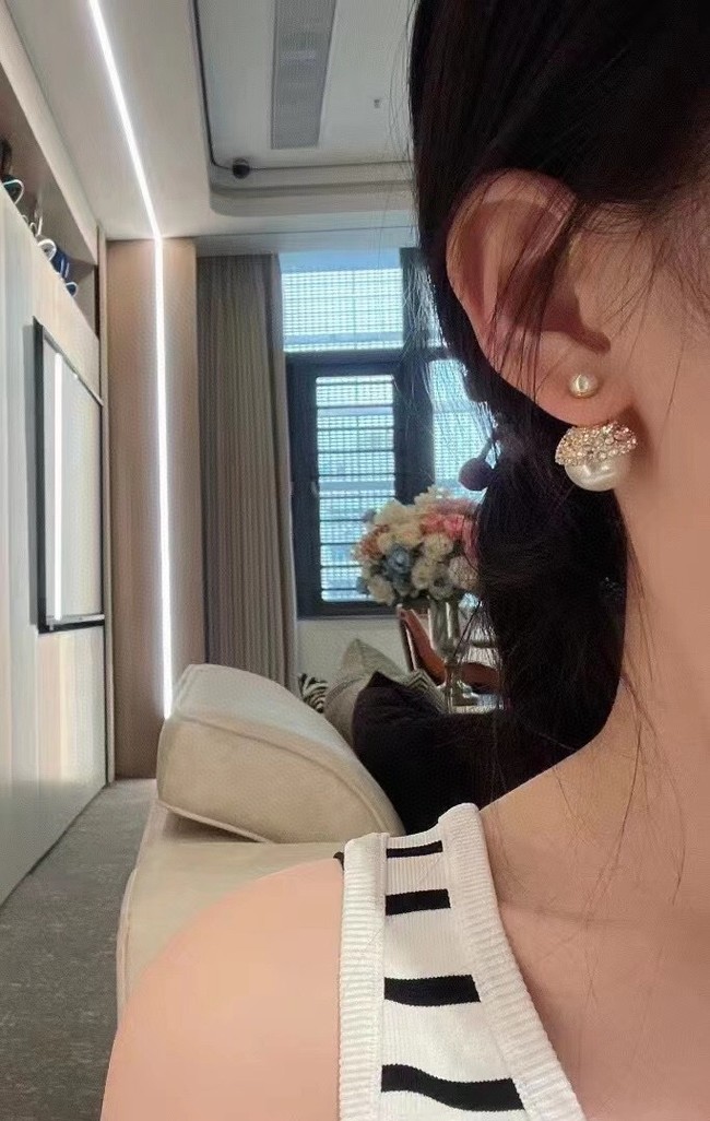 Dior Earrings CE10772