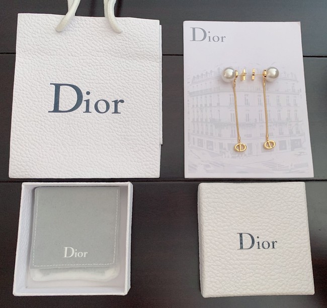 Dior Earrings CE10807