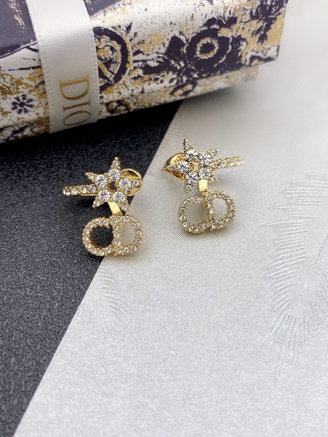 Dior Earrings CE10943