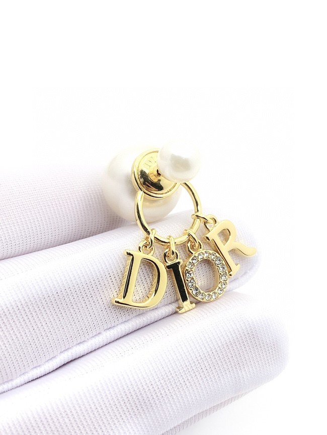 Dior Earrings CE10944