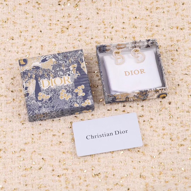 Dior Earrings CE11015